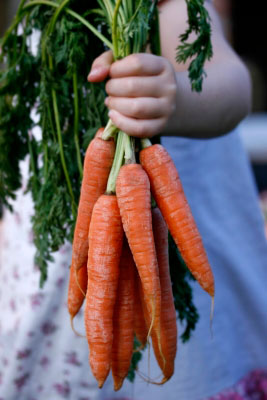 Girl Holding Carrots
