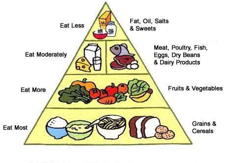 Healthy+eating+pyramid