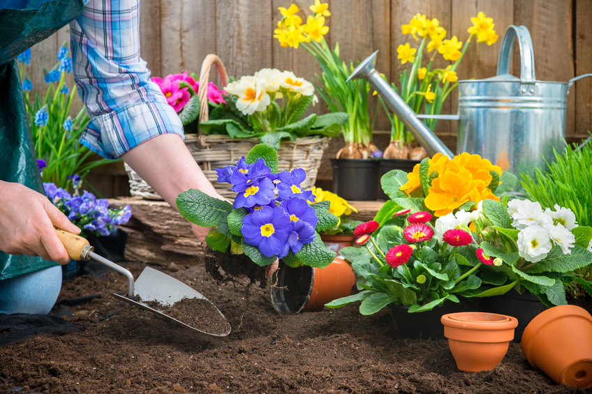 gardening