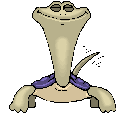 Winning Tortoise